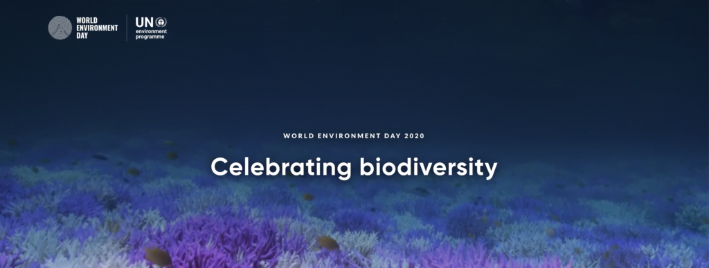 World Environment Day 2020 Celebrating biodiversity