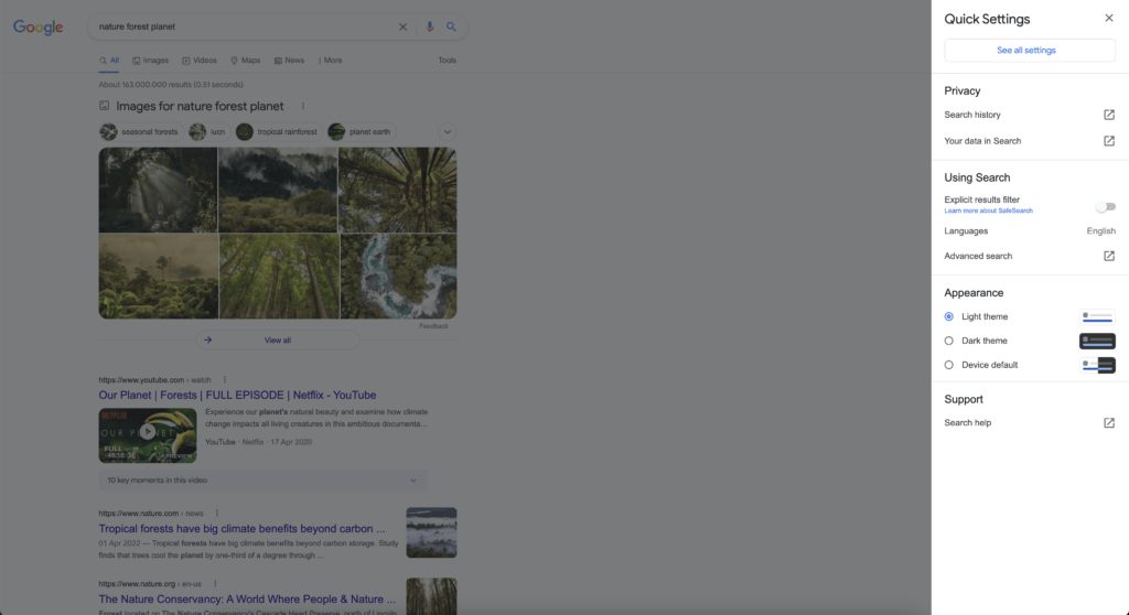 Google Search Results side panel to enable the Google Search Dark Mode