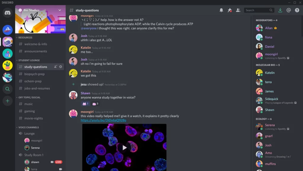 Discord Chat